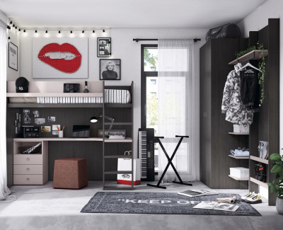 Habitación con cama alta con escritorio y armario con estanterías