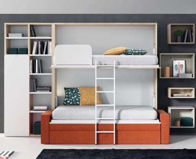 Litera abatible con sofá, librería y estanterías cubos